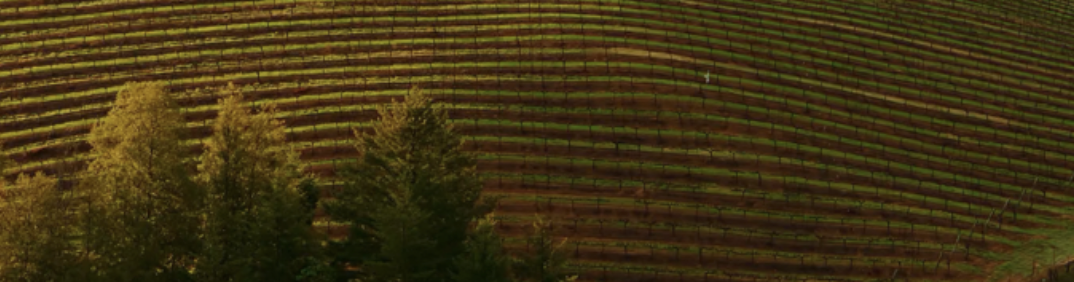 Family in snowman pajamas